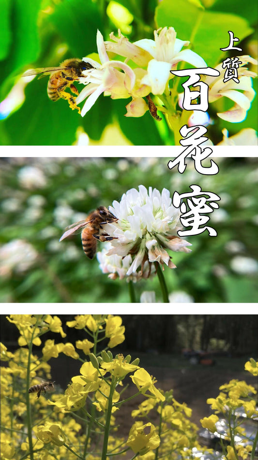 【上品な味わい】上質 百花蜜（120g）無農薬栽培・食品添加物不使用・完全非加熱・残留農薬分析検査済み＝全て無検出