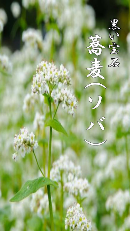 【ハチミツ界の黒い宝石】蕎麦(そば)（120g）無農薬栽培・食品添加物不使用・完全非加熱・残留農薬分析検査済み＝全て無検出