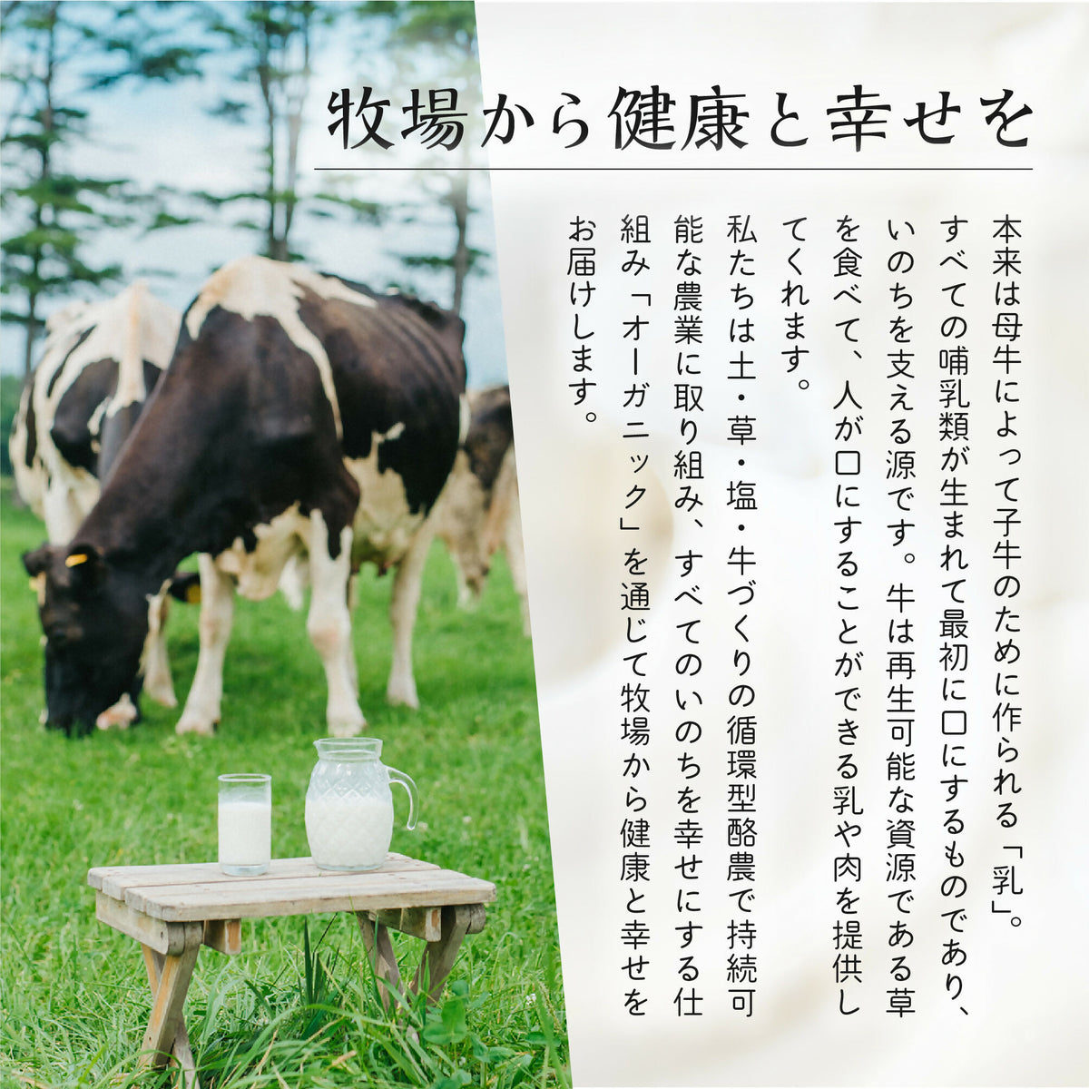 十勝オーガニック牛乳900ml×1本　有機・グラスフェッド・放牧・ノンホモ・低温殺菌・A2ミルク・北海道十勝・産地直送