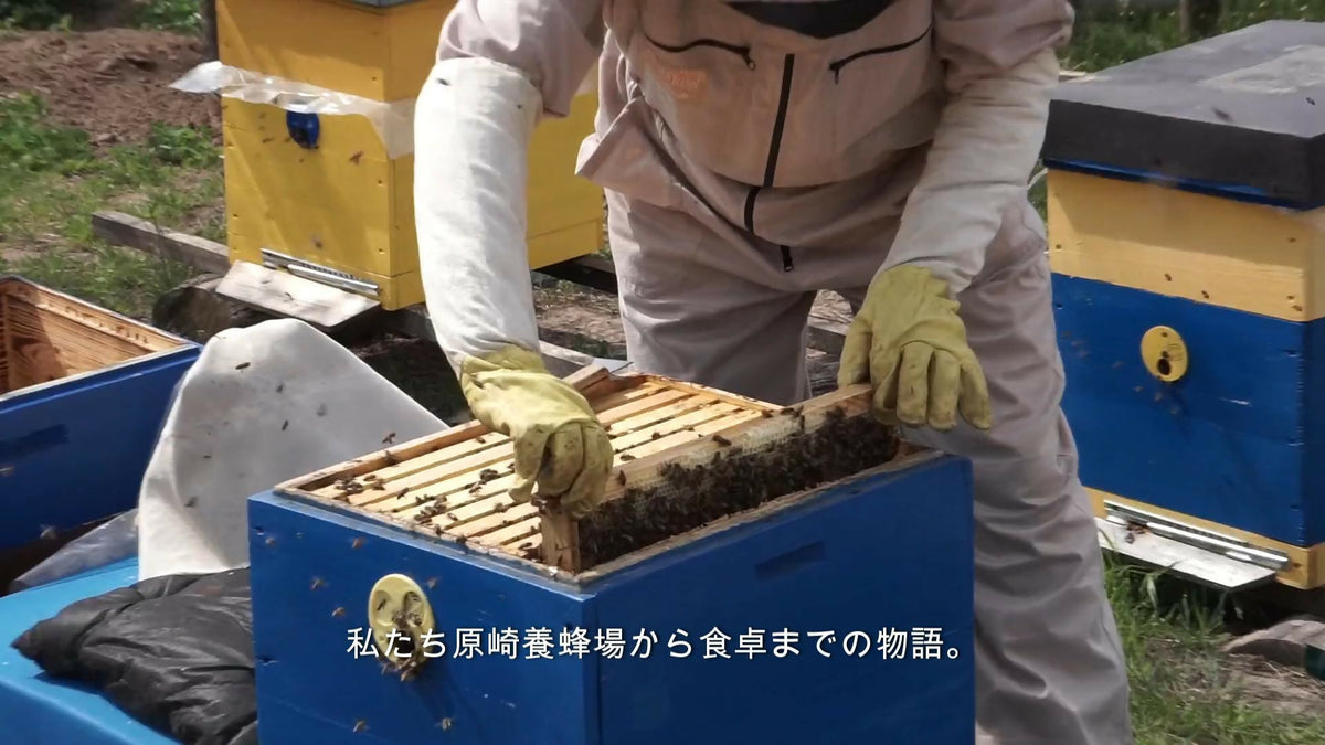 【山桜 香る】さくら（120g）無農薬栽培・食品添加物不使用・完全非加熱・残留農薬分析検査済み＝全て無検出