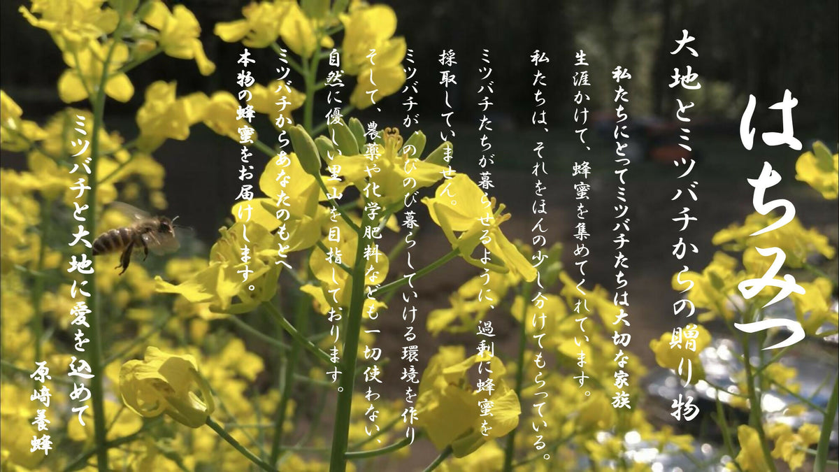 【山桜 香る】さくら（120g）無農薬栽培・食品添加物不使用・完全非加熱・残留農薬分析検査済み＝全て無検出